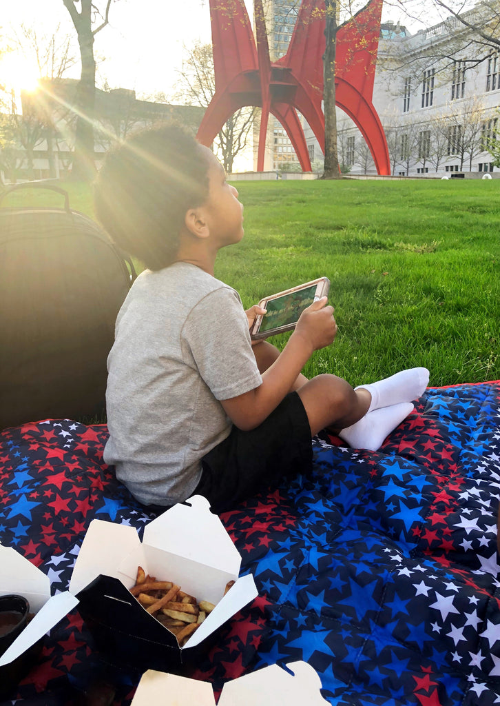 Quarantine Picnic in the City