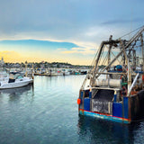 Harbor Master