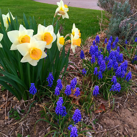 And They Were All Yellow