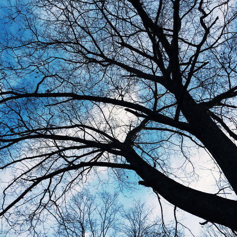 Sleepy Hollow